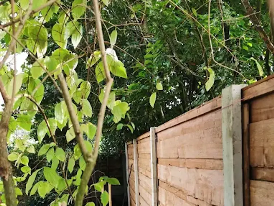 New garden fence with concrete posts