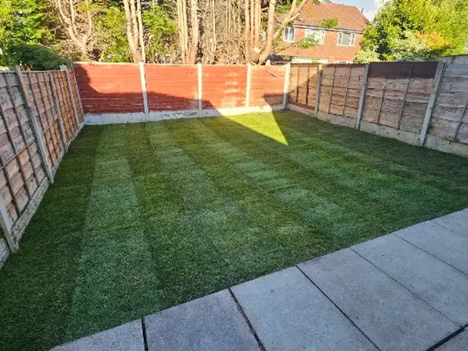 Fresh turf laid in stripes in a fenced garden