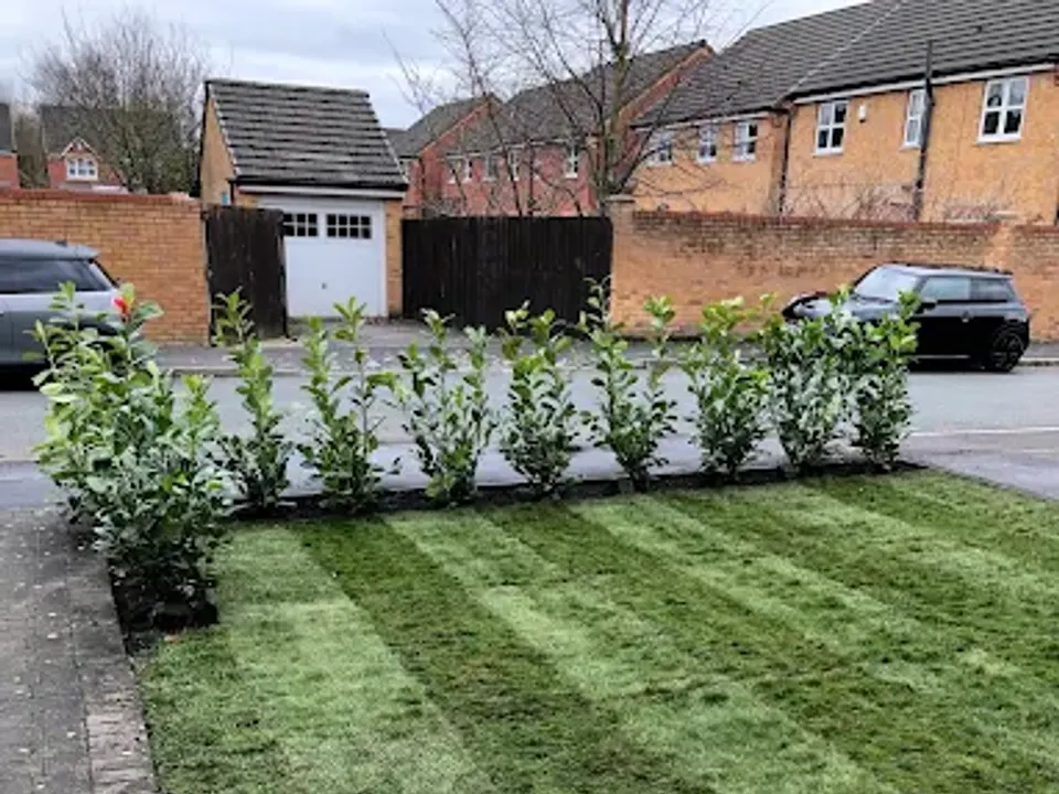 Front garden with new turf and hedging