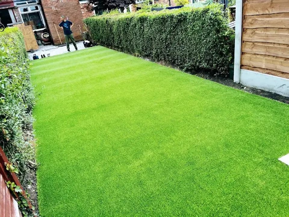 Striped lawn with a freshly trimmed hedge